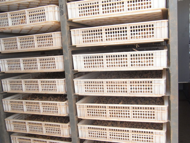 文山三七熱泵烘干項目