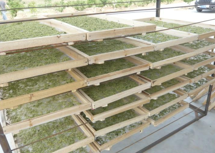 小型金銀花烘干機(jī)多少錢一臺(tái)？小型號(hào)「價(jià)錢低」烘干更靈活