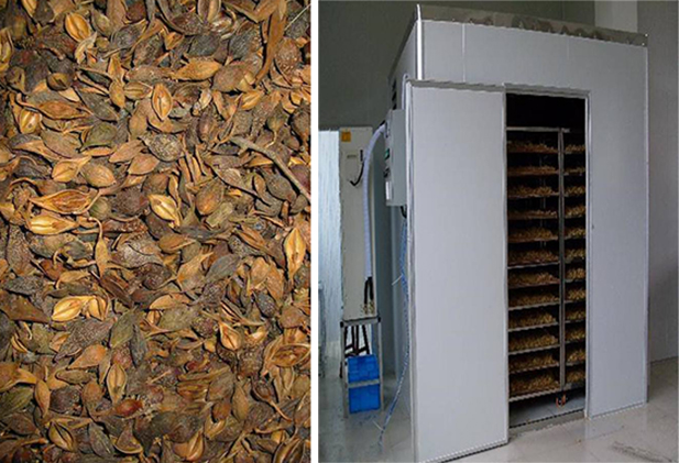 水果蔬菜烘干機(jī)要多少錢 水果蔬菜烘干機(jī)要多少錢