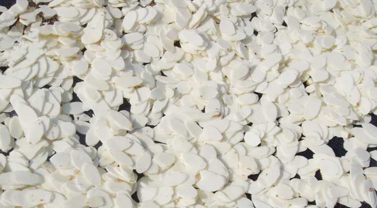 正旭空氣能熱泵烘干機(jī)淮山烘干機(jī)淮山烘干前 正旭空氣能熱泵烘干機(jī)淮山烘干機(jī)淮山烘干前